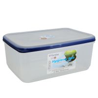 Hộp đựng thực phẩm kháng khuẩn dùng trong tủ lạnh & LVS 5000ml (20.5x30x13cm) , Mã số: DW5038