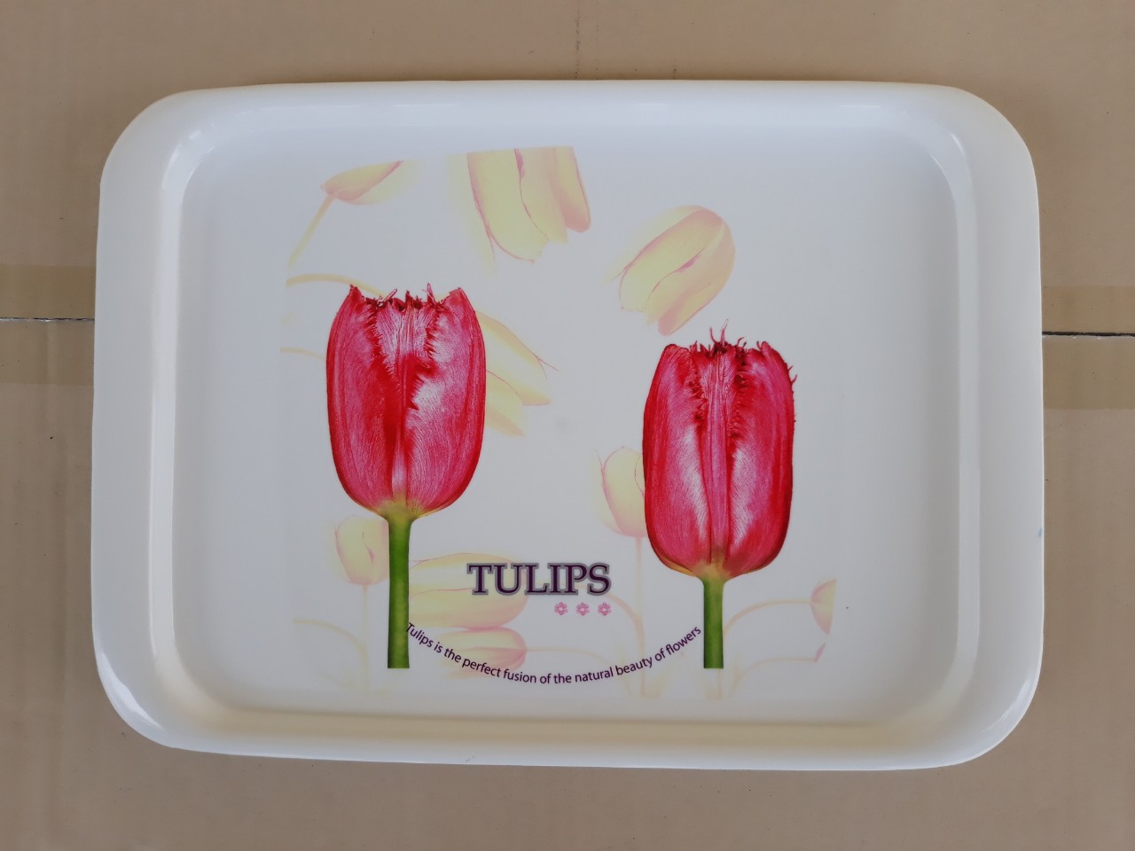 Khay đựng ly tách, trái cây hình chữ nhật (25,5 x 35cm), Mã số: TL5506/1