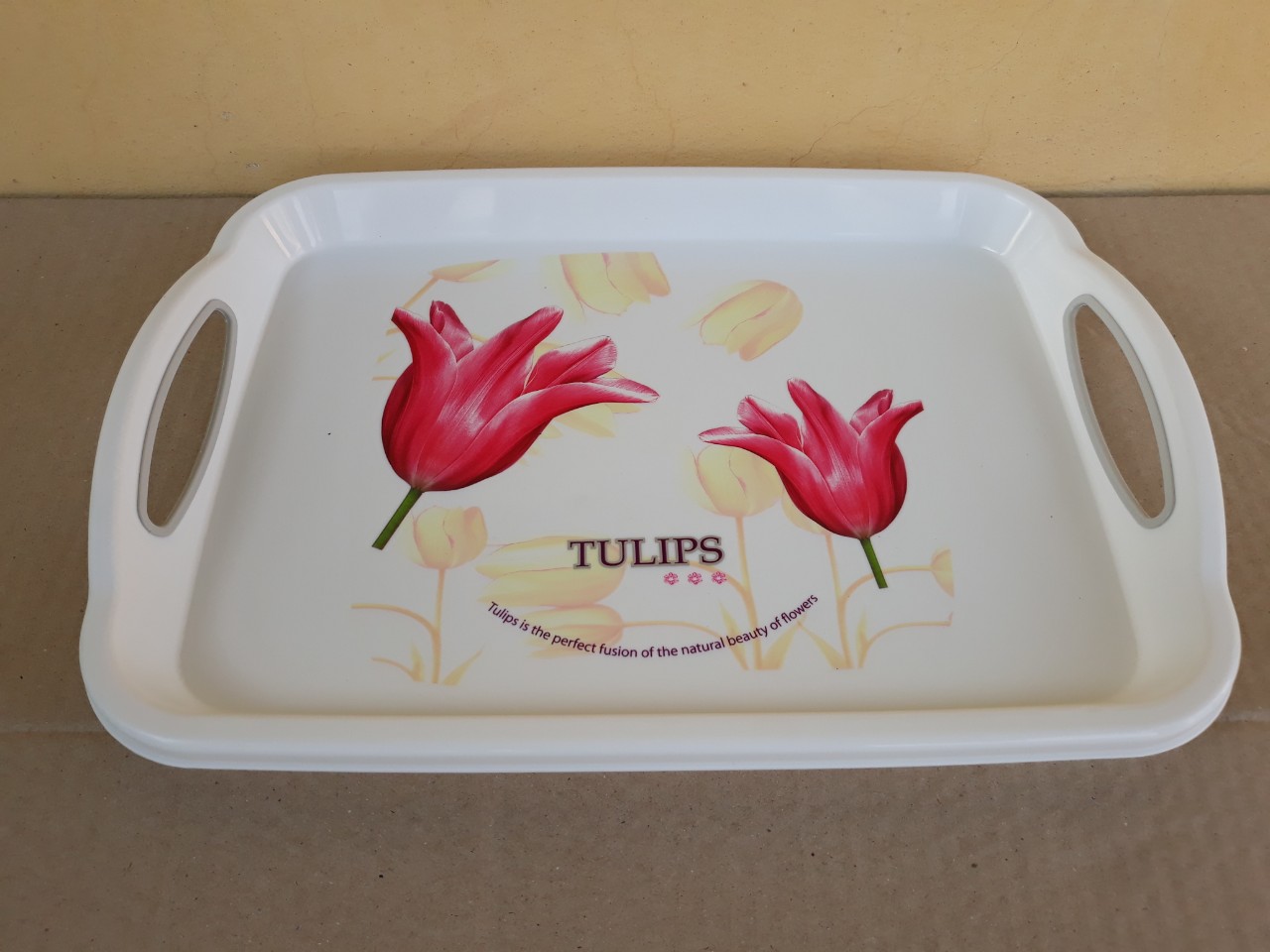 Khay đựng ly tách, trái cây hình chữ nhật có quai (27.5x38cm), Mã số: TL5321